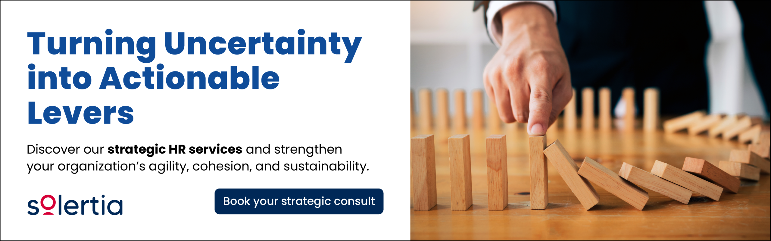 Solertia HR Strategic Services
